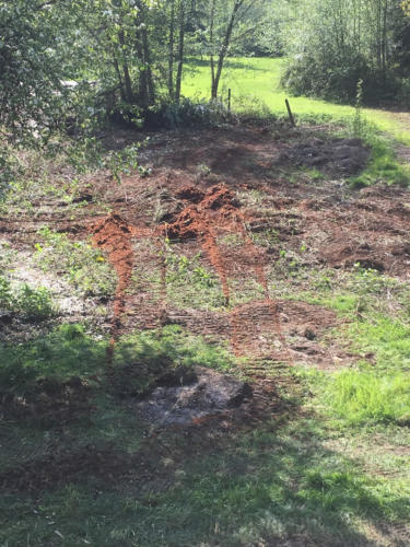 Excavation