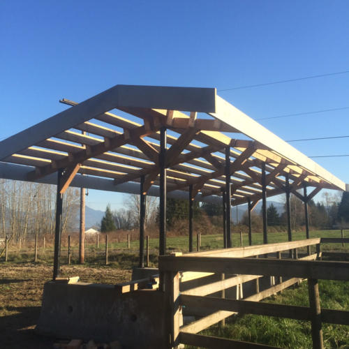 Outbuilding construction